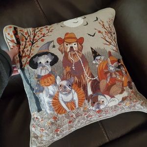 PIER1 FALL HALLOWEEN EMBROIDERED DOG AND CAT PILLOW Costumes 16" x 16" P…
